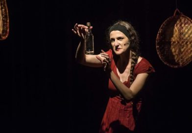 Festival Catarinense de Contadores de Histórias acontece em Timbó